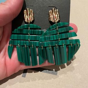 Earrings NWT